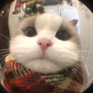 17岁纯情女高中生TvT