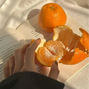 落花听雨释心伤