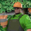 Weed Fortress 2