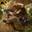 White Drop Bear