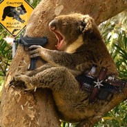 White Drop Bear