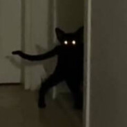 在品尝女朋友小学时尝到一股男朋友的牛汁味