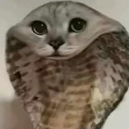 usernup