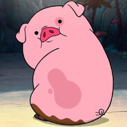 oink oink