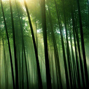 我真的是天才吗O.o?