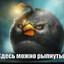 плешивое яичко