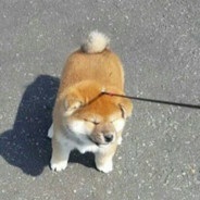 Energybrewz