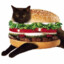 kiten burger