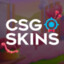 petkovic CSGOSKINS