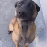 DamrekSKYY avatar