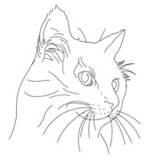 जोकर दहिना ह