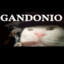 GUNDONIO