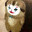 ゴミを出てくる