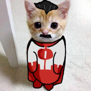 omni-cat