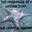Starfish4days