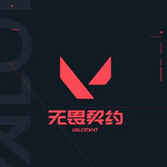 瓦转go