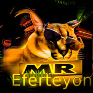 MrEfertyon