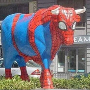 sapi derman
