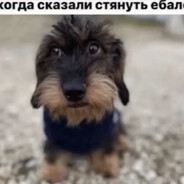 Дабулэ - steam id 76561197967068295