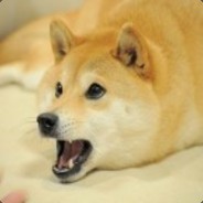 Ser Doge's Avatar