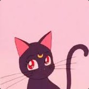 月棱镜威力变身超级喵