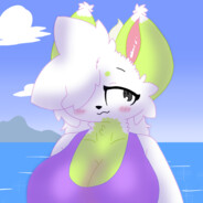 Lime the drakox doggo