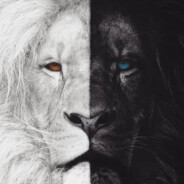 假肢安装员—可上门