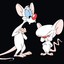 Pinky &amp; Brain
