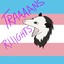 Trans Rights