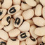 Beans
