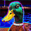 Colonel Quack