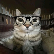 nerd_cat