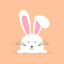 Rabbit Whore