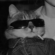 BroSki - steam id 76561198850788004