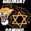 Galinski Gaming