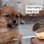причина тряски?