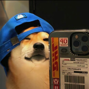 双目所及皆是你