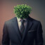 Bushmanbushman