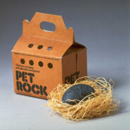 Your New Pet Rock