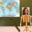 Elukutseline geograafiaõpetaja