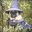 Pug The Wizard
