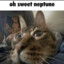 OGamer