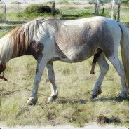 KERJA LEMBUR BAGAI ♞♞♞♞