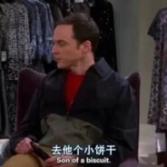 欸这位小姐就是你只买不玩是吗