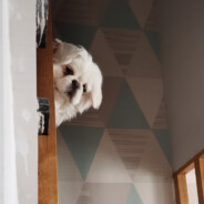 安静的嗑瓜子的美少女