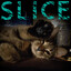 SliceAndDiceCat