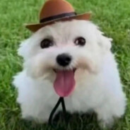 黑人