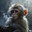 Monkeypoop254