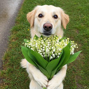 烟花美丽短暂 而妳也是