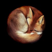 Numb_Nom_Fox